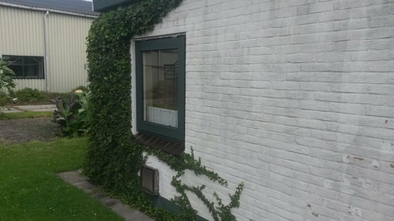 Studio Lägenhet Wimmenum Exteriör bild